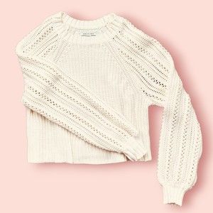 American Eagle Cropped Crochet Sleeve Sweater